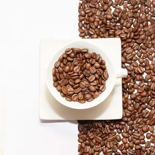 衣索比亞 耶加雪菲 日曬 G1 咖啡豆半磅